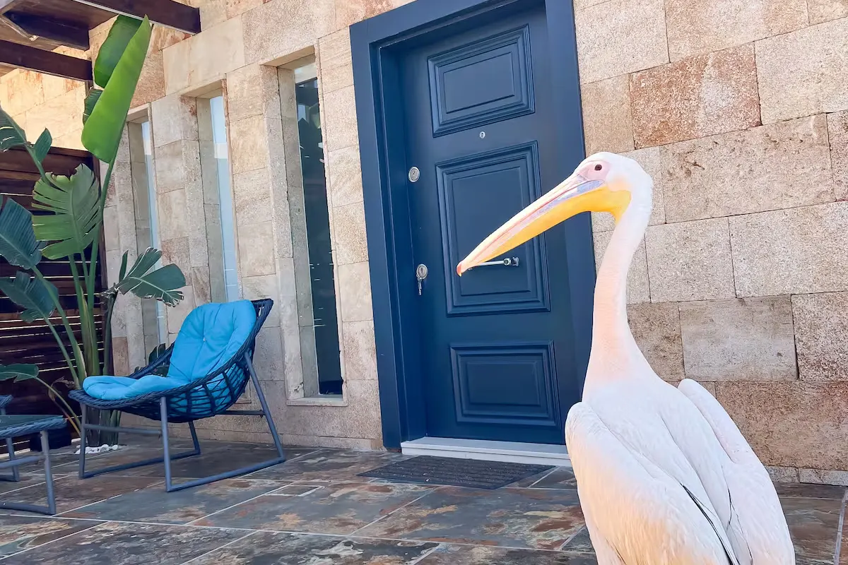 Larimar Guesthouse