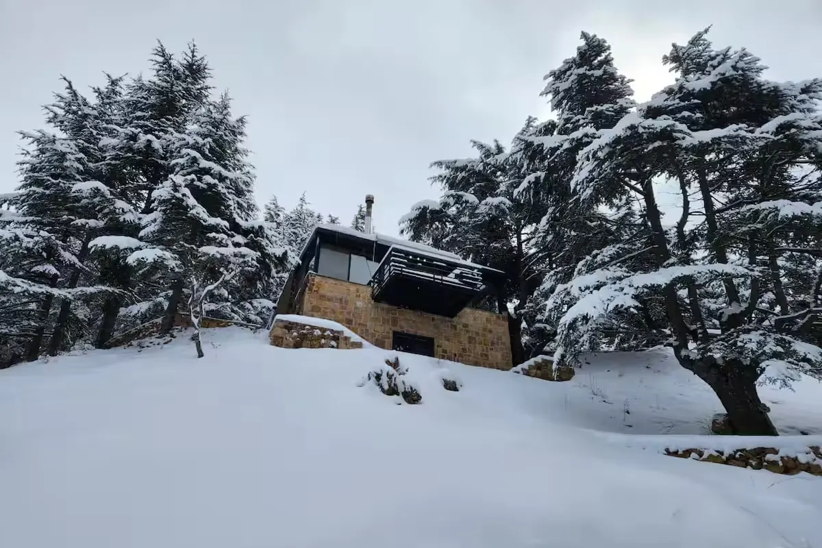 Cedar Scent Guesthouse